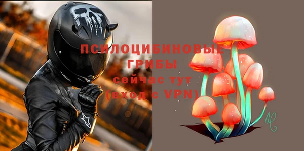 дурь Алзамай