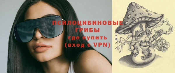 дурь Алзамай