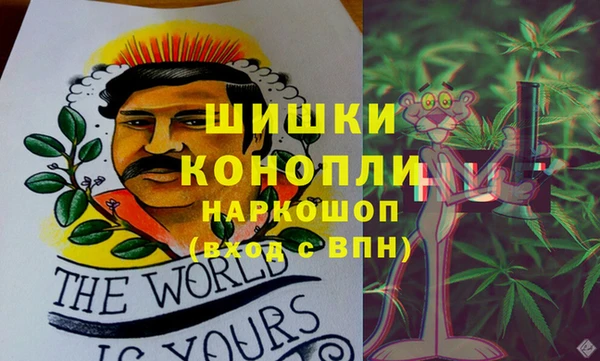 дурь Алзамай