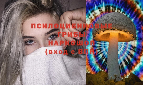 дурь Алзамай